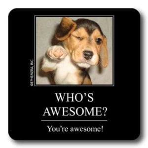 Who's Awesome? You're awesome!