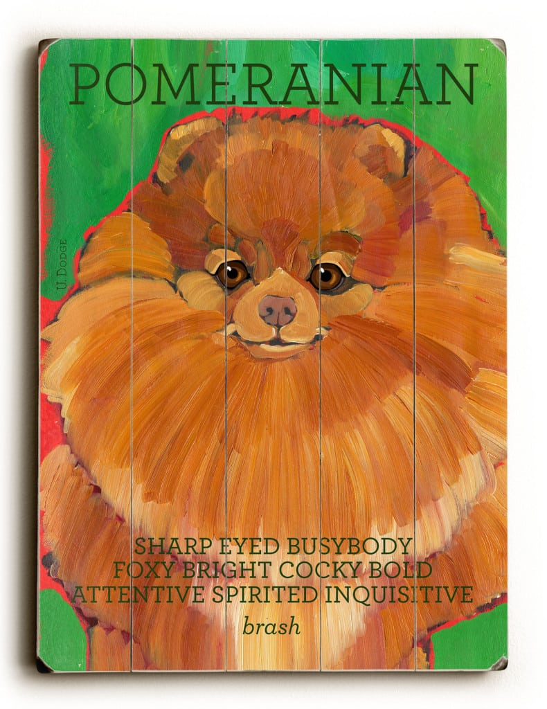 Pomeranian: Dog Signs of Dog Breeds. Dog Art Print on Wood. Gifts for Dog Lovers.