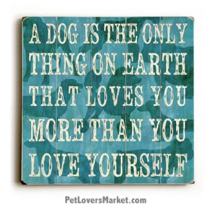 Wooden Dog SIgns / Dog Prints: A Dog Is the Only Thing on Earth that Loves You More Than You Love Yourself. Dog Decor and Gifts for Dog Lovers.