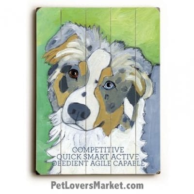 Australian Shepherd - Dog Pictures, Dog Print, Dog Art. Wall Art and Wooden Signs with Dog Pictures and Dog Quotes. Features the Australian Shepherd dog breed.