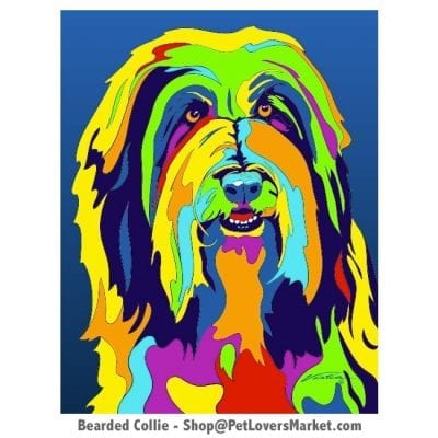 Dog Portraits: Collie art. Dog paintings and dog portraits by Michael Vistia. Collie art is available in canvas prints and matted prints. Bearded Collie dog breed.