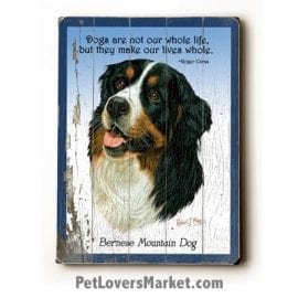 Bernese Mountain Dog: Dog Picture, Dog Print, Dog Art. "Dogs are not our whole life, but they make our lives whole." ~ dog quote. Wall Art and Wooden Signs with Dog Pictures and Dog Quotes. Features Bernese Mountain Dog Breed.