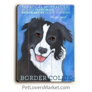 Border Collie: Dog Print on Wood