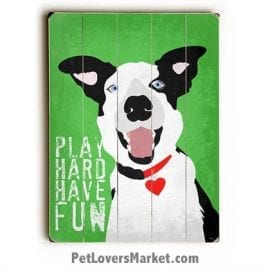 "Play Hard. Have Fun." Motivational Quote with Border Collie - Dog Picture, Dog Print, Dog Art. Wall Art and Wooden Signs with Dog Pictures and Dog Quotes. Features the Border Collie dog breed.