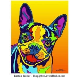 Dog Portraits: Boston Terrier, a dog painting and dog portrait by Michael Vistia. Available in canvas prints and matted prints. Boston Terrier pictures as canvas prints.