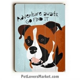 Boxer Dog - "Adventure Awaits. Go Find it." Motivational Quote. Dog Pictures, Dog Print, Dog Art. Wall Art and Wooden Signs with Dog Pictures and Dog Quotes. Features the Boxer dog breed.