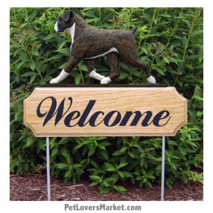 Welcome Sign with Boxer dog breed (Brindle) Welcome sign and dog sign for dog lovers. Welcome sign is perfect for home and garden decor, garden accents, outdoor accents, unique garden statues, garden statues online, best garden decor, garden stake decor, decorative garden stake, outdoor home accents, unique garden decor, outdoor home decor. Features Boxer dog breed.