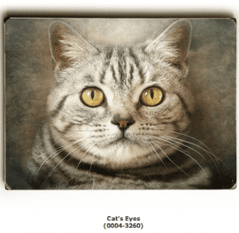 Cat Eyes (Cat Art / Cat Print / Cat Poster)