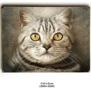 Cat Painting: Cat Eyes. Buy cat paintings and cat prints as gifts for cat lovers. Cat art. Wooden sign. Cat decor.