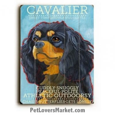 Cavalier King Charles Spaniel - Dog Pictures, Dog Print, Dog Art. Wall Art and Wooden Signs with Dog Pictures and Dog Quotes. Features the Cavalier King Charles Spaniel dog breed.