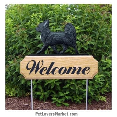 Welcome Sign with Chihuahua (Long Haired, Black). Welcome sign and dog sign for dog lovers. Welcome sign is perfect for home and garden decor, garden accents, outdoor accents, unique garden statues, garden statues online, best garden decor, garden stake decor, decorative garden stake, outdoor home accents, unique garden decor, outdoor home decor. Features the Chihuahua dog breed.