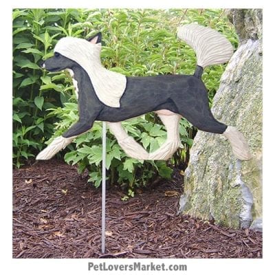 Chinese Crested Dog Sign / Yard Sign / Garden Stake. Garden Accents and Gifts for Dog Lovers. Perfect for Home and Garden Decor. Part of our collection of yard signs and garden accents -- with dog breeds. Also use for outdoor accents, unique garden statues, garden statues online, best garden decor, garden stake decor, decorative garden stake, outdoor home accents, unique garden decor, outdoor home decor. Features Chinese Crested dog breed.