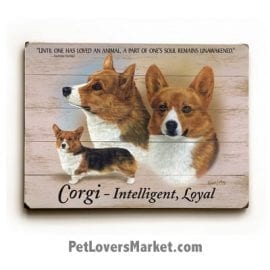 Corgis: Dog Picture, Dog Print, Dog Art. "Until one has loved an animal a part of one's soul remains unawakened." - Anatole France (famous dog quotes). Wall Art and Wooden Signs with Dog Pictures and Dog Quotes. Features the Welsh Pembroke Corgi Dog Breed.