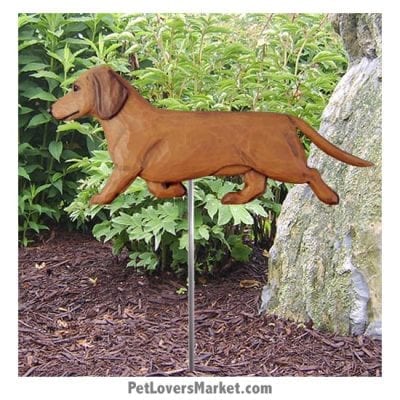 Dachshund Yard Sign / Garden Stake. Garden Accents and Gifts for Dog Lovers. Perfect for Home and Garden Decor. Part of our collection of yard signs and garden accents -- with dog breeds. Also use for outdoor accents, unique garden statues, garden statues online, best garden decor, garden stake decor, decorative garden stake, outdoor home accents, unique garden decor, outdoor home decor. Features red Dachshund dog breed.