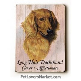 Dachshund (Long Haired): Dog Picture, Dog Print, Dog Art. Wall Art and Wooden Signs with Dog Pictures and Dog Quotes. Features the Dachshund Dog Breed.