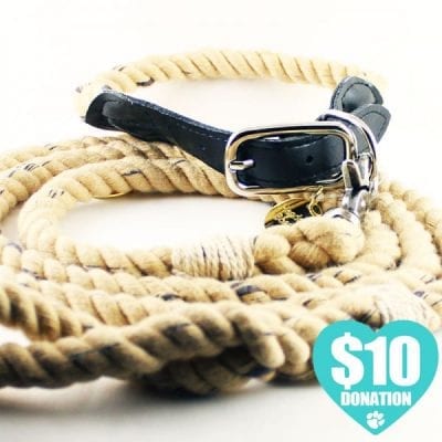 Vintage Dog Collar and Leash for Sale