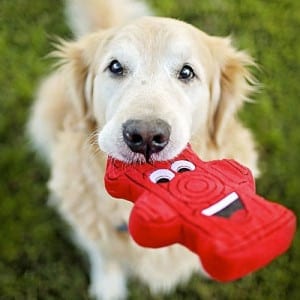 Dog Squeaky Toy: Fire Hydrant by PrideBites. (Pictured: Dog with toy.) 