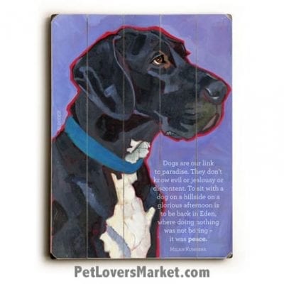 “Dogs are our link to paradise. They don't know evil or jealousy or discontent. To sit with a dog on a hillside on a glorious afternoon is to be back in Eden, where doing nothing was not boring--it was peace." ― Milan Kundera (Dog Quote) Great Dane - Dog Picture, Dog Print, Dog Art. Wall Art and Wooden Signs with Dog Pictures and Dog Quotes. Features the Great Dane dog breed.