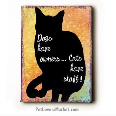 Cat Poster: Dogs Have Owners, Cats Have Staff
