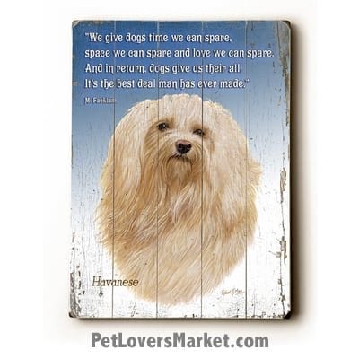 Havanese - Dog Picture, Dog Print, Dog Art. "We give dogs time we can spare, space we can spare, and love we can spare. In return, dogs give us their all. It’s the best deal man has ever made." Margery Facklam (famous dog quotes). Wall Art and Wooden Signs with Dog Pictures and Dog Quotes. Features the Havanese dog breed.