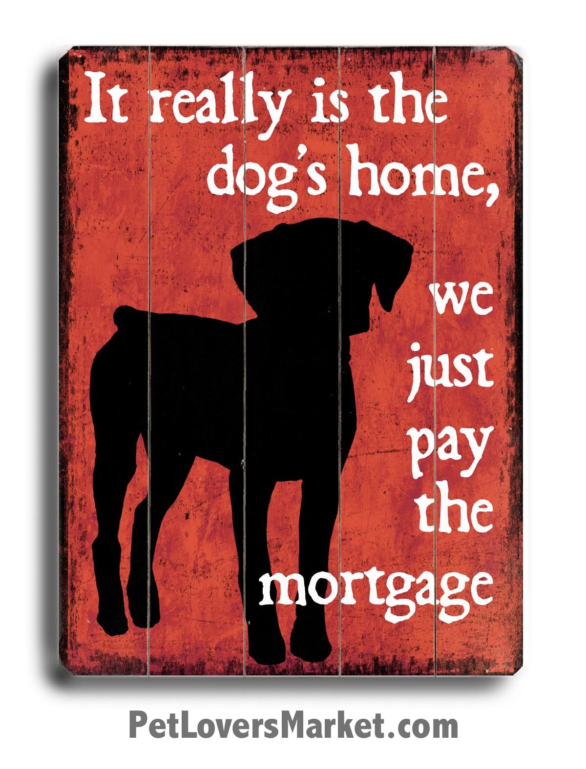It really is the dog's home, we just pay the mortgage
