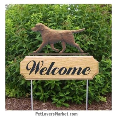Welcome Sign with Chocolate Labrador Retriever (Chocolate Lab). Welcome sign and dog sign for dog lovers. Welcome sign is perfect for home and garden decor, garden accents, outdoor accents, unique garden statues, garden statues online, best garden decor, garden stake decor, decorative garden stake, outdoor home accents, unique garden decor, outdoor home decor. Features Labrador Retriever dog breed.