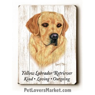 Labrador Retriever (Yellow Lab) - Dog Picture, Dog Print, Dog Art. Wall Art and Wooden Signs with Dog Pictures and Dog Quotes. Features the Yellow Labrador Retriever dog breed.