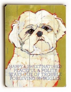 Maltese - Dog Pictures, Dog Print, Dog Art. Wall Art and Wooden Signs with Dog Pictures and Dog Quotes. Features the Maltese dog breed.