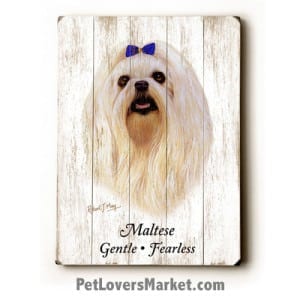 Maltese - Dog Pictures, Dog Print, Dog Art. Wall Art and Wooden Signs with Dog Pictures and Dog Quotes. Features the Maltese dog breed.