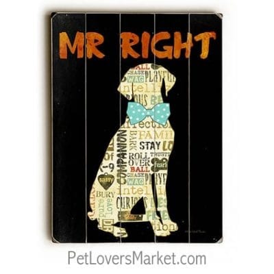 "Mr. Right" - Funny dog signs with funny dog quotes. Gifts for dog lovers. Dog print, wooden sign, wall art.