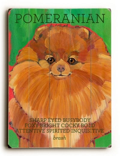 Pomeranian - Dog Picture, Dog Print, Dog Art. 'Every Dog is a Lion at Home.' - Henry George Bohn (famous dog quotes). Wall Art and Wooden Signs with Dog Pictures and Dog Quotes. Features the Pomeranian dog breed.