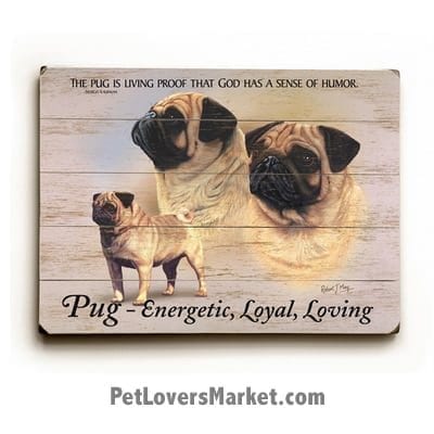 Pugs - Dog Picture, Dog Print, Dog Art. "The pug is living proof that God has a sense of humor." - Margot Kaufman (famous dog quotes). Wall Art and Wooden Signs with Dog Pictures and Dog Quotes. Features the Pug dog breed.