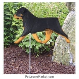 Rottweiler Dog Sign / Yard Sign / Garden Stake. Garden Accents and Gifts for Dog Lovers. Perfect for Home and Garden Decor. Part of our collection of yard signs and garden accents -- with dog breeds. Also use for outdoor accents, unique garden statues, garden statues online, best garden decor, garden stake decor, decorative garden stake, outdoor home accents, unique garden decor, outdoor home decor. Features Rottweiler dog breed.