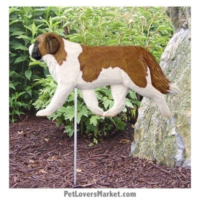 Saint Bernard Yard Sign / Garden Stake. Garden Accents and Gifts for Dog Lovers. Perfect for Home and Garden Decor. Part of our collection of yard signs and garden accents -- with dog breeds. Also use for outdoor accents, unique garden statues, garden statues online, best garden decor, garden stake decor, decorative garden stake, outdoor home accents, unique garden decor, outdoor home decor. Features St. Bernard dog breed.