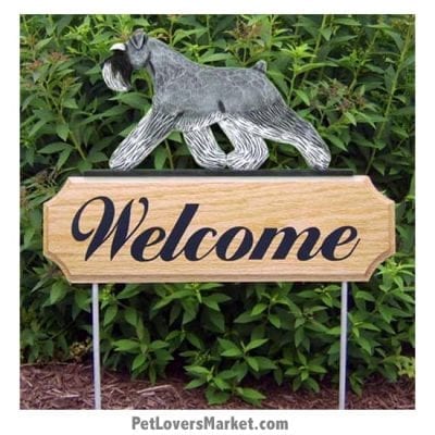 Welcome Sign with Schnauzer (Salt and Pepper). Welcome sign and dog sign for dog lovers. Welcome sign is perfect for home and garden decor, garden accents, outdoor accents, unique garden statues, garden statues online, best garden decor, garden stake decor, decorative garden stake, outdoor home accents, unique garden decor, outdoor home decor. Features Schnauzer dog breed.