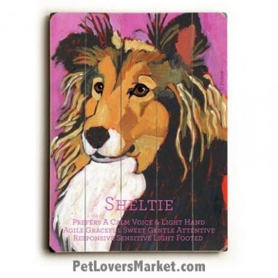 Shetland Sheepdog (Sheltie) - Dog Picture, Dog Print, Dog Art. Wall Art and Wooden Signs with Dog Pictures and Dog Quotes. Features the Shetland Sheepdog dog breed.