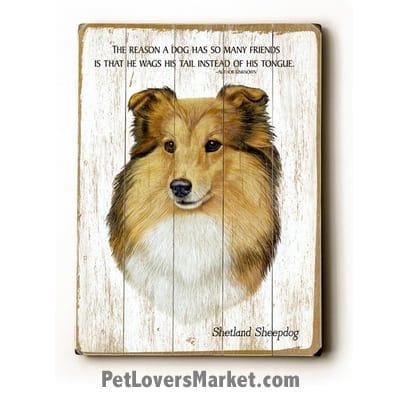 Shetland Sheepdog (Sheltie) - Dog Picture, Dog Print, Dog Art. "The reason a dog has so many friends is that he wags his tail instead of his tongue." (famous dog quotes). Wall Art and Wooden Signs with Dog Pictures and Dog Quotes. Features the Shetland Sheepdog dog breed.