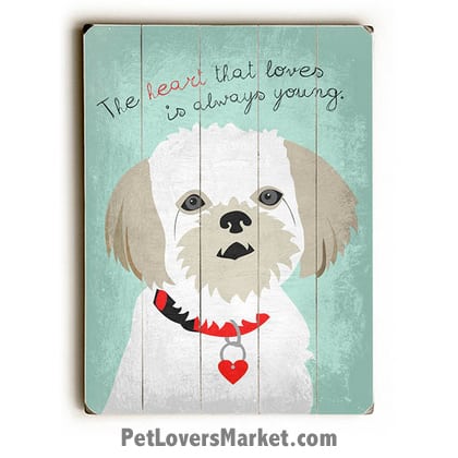 Dog Picture / Dog Print on Wood: "The heart that loves is always young." Dog Quote. Dog Art, Wooden Sign, Dog Signs, Dog Prints, Wall Art.