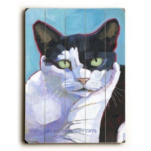 Cat Poster: There Are No Ordinary Cats - Colette Quotes