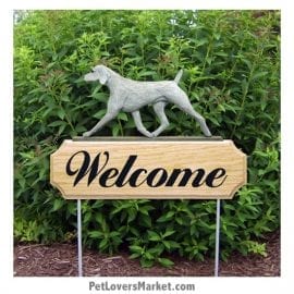 Weimaraner - Dog Picture, Dog Print, Dog Art. Wall Art and Wooden Signs with Dog Pictures and Dog Quotes. Features the Weimaraner dog breed.